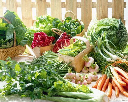 Kỹ thuật trồng và chăm sóc rau mùa mưa xanh tốt, không sâu bệnh